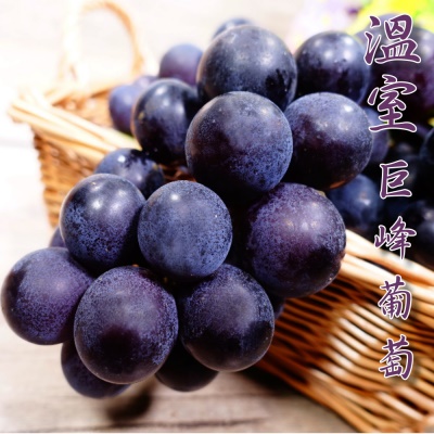 坤田水果 多汁溪湖溫室巨峰葡萄(3箱)單箱3斤